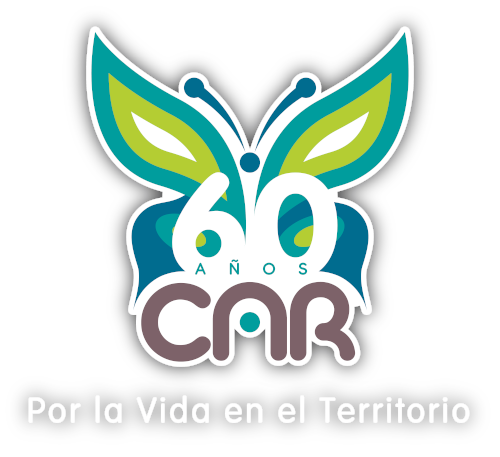 logo_60_car